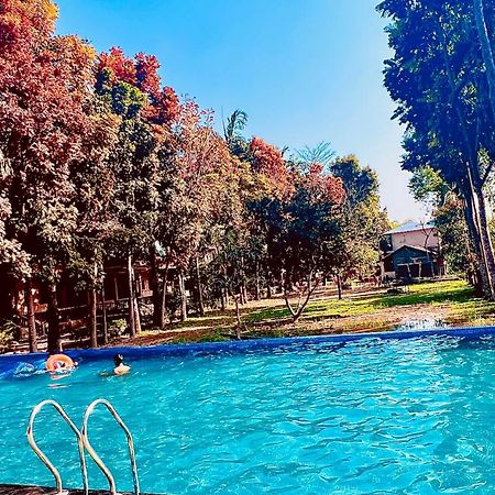 Chitwan Forest Resort , Chitwan National Park Sauraha Exterior photo